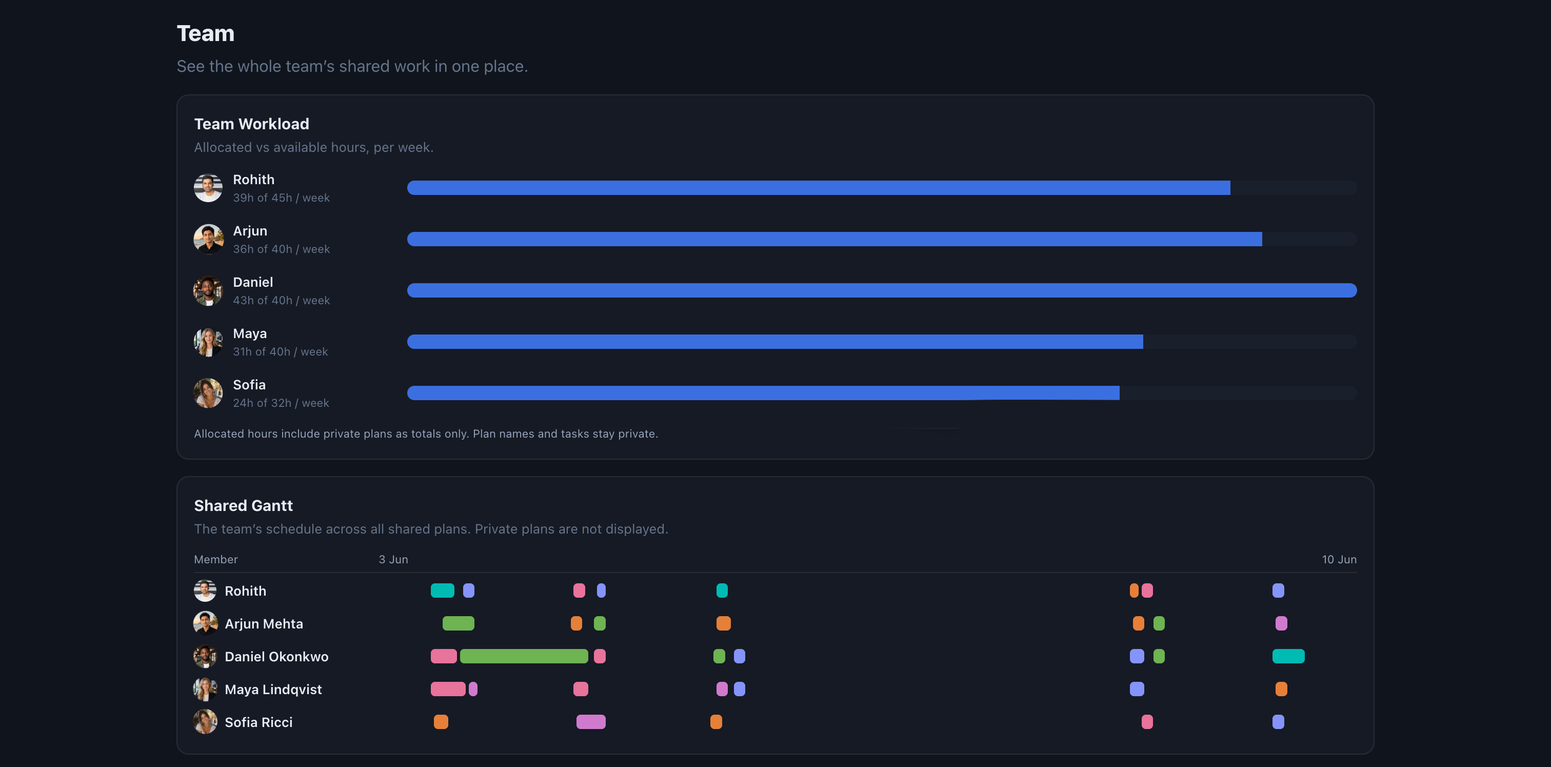 The Team dashboard: per-member workload bars, the shared plans list, and a shared Gantt across the whole team